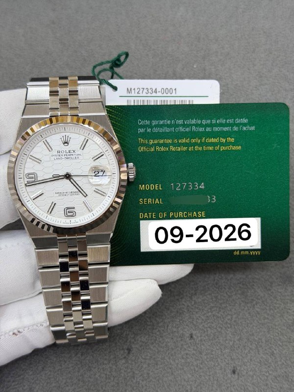 Rolex Land-Dweller 40, reference 127334, Dubai